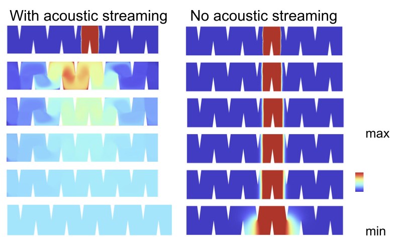Two columns of color maps over six time steps from zero to one hundred seconds. With acoustic streaming the signal spreads across the channel region within seconds; without it the signal stays in one place