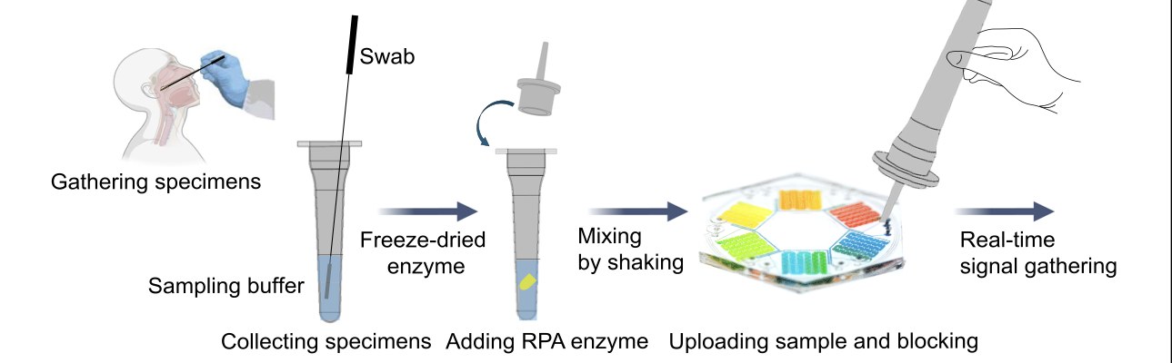 A left-to-right workflow: gathering specimens with a swab into a sampling buffer, adding freeze-dried enzyme, mixing by shaking, loading a multi-chamber chip, then real-time signal gathering